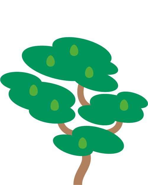 AVOCADO (1)