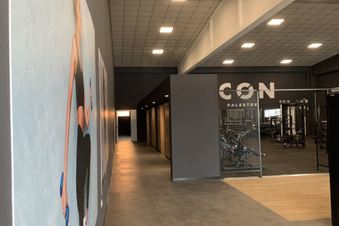 Imola ICON Palestre